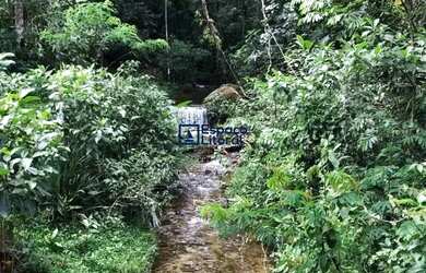 Imagem 5: Fazenda à venda no bairro da Massaguaçu, bairro de Caraguatatuba - SP