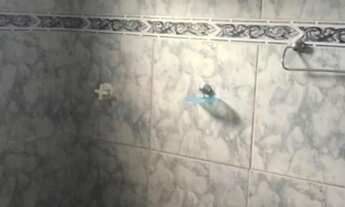 Imagem 4: Apartamento no centro