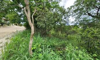 Imagem 3: Lote à Venda no Jardim Botânico