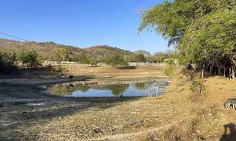 Imagem 7: Fazenda em crixas