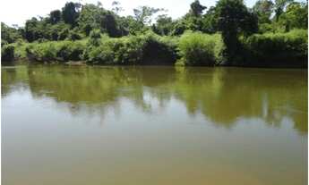 Imagem 2: Área de Mato de 140 alqueires, 72 km de Castelo de Sonhos -PA