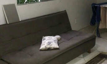 Imagem: Aluguel (dividir apartamento) leia o anúncio