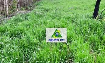 Imagem 4: Fazenda com 4 dormitórios à venda, 8820000 m² por R$ 10.000.000,00 - Centro - Guiratinga/M