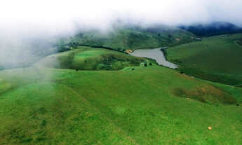 Imagem 3: Faz. Zona da Mata - a 45 km de Garanhuns-PE