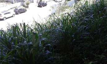 Imagem 6: NOVA IGUAÇU - Terreno Padrão - CENTRO