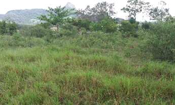 Imagem 6: Área 5.500 m² para chácara em Amarelos Guarapari perto do pedágio da BR 101. R$ 160 mil