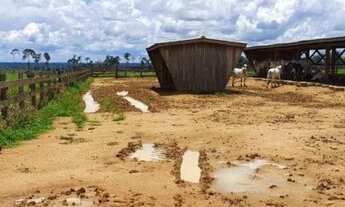 Imagem 7: Fazenda com 229 alqueires Alto Paraiso