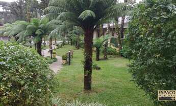 Imagem 3: GRAMADO - Apartamento Padrão - Planalto