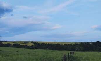 Imagem 4: Fazenda localizada em Munícipio de Cromínia de Goiás, 65 Quilômetros de Goiânia