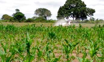 Imagem 5: Fazenda/Sítio/Chácara para venda tem 2700000 metros quadrados em Área Rural de Cuiabá - Cu