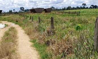 Imagem 4: Fazenda com 229 alqueires Alto Paraiso