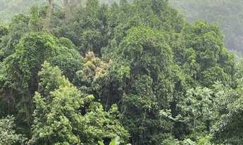 Imagem: Apartamento para Investidores Sala/Quarto