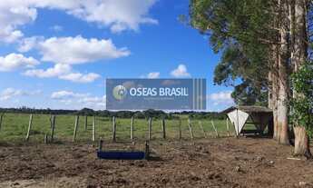 Imagem 4: Fazenda em Br 367 - Porto Seguro, BA