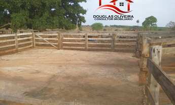 Imagem 4: Fazenda 27 Alqueires Região De Campina Verde/MG