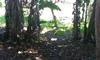 Imagem 6: Área para aluguel, Trevo - Belo Horizonte/MG