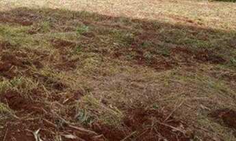 Imagem 5: Chácara com 2 dormitórios à venda, 12151 m² por R$ 220.000,00 - Ribeirão Jataizinho - Ass