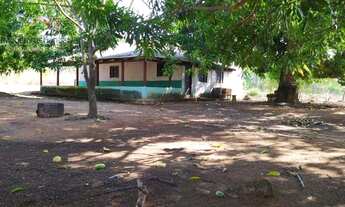 Imagem: Fazenda 23 KM de Porto Nacional