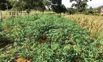 Imagem 3: Chácara - Bonfinópolis