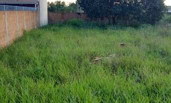 Imagem 3: Terreno atrás do antigo posto lagoão