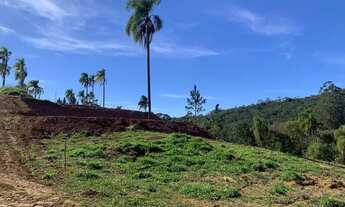 Imagem 4: Terreno Com Acesso a Rodovia