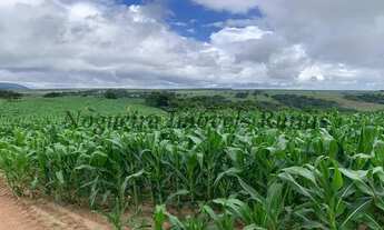 Imagem 5: Fazenda com 129 alqueires em Bofete - SP (Nogueira Imóveis Rurais