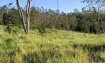 Imagem 6: Terrenos 800m² direto nos asfalto em Taiaçupeba a 25 minutos de Mogi das cruzes