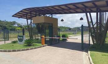 Imagem 2: Lote São Miguel dos Milagres