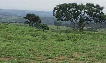 Imagem 5: Fazenda a venda em Alexânia - GO