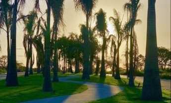 Imagem 4: Repasse - lote no condomínio Jardins terras Brasilis