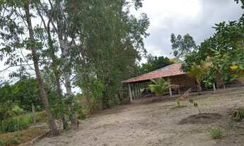 Imagem 3: SÍTIO REG. BOM INTENTO