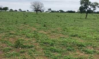 Imagem: Fazenda a venda em Alexânia - GO