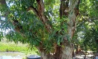 Imagem 5: Lote portal do Lago em sta Bárbara de góias #chácara