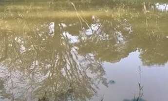 Imagem 7: Fazenda a venda em Alexânia - GO