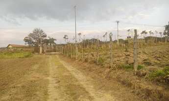 Imagem 4: MV20 Com area total de 500m