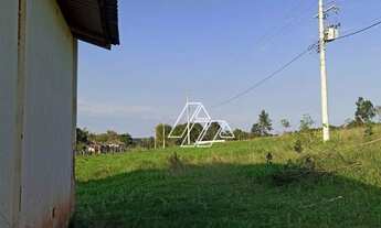 Imagem 2: Sítio com 4 dormitórios à venda, 162140 m² por R$ 1.250.000 - Jóquei Clube - Marília/SP