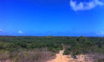 Imagem: Fazenda em Jandaíra, Litoral Norte da Bahia