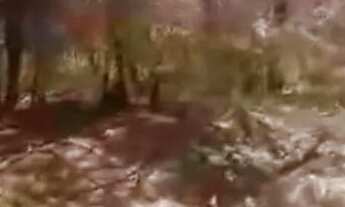 Imagem 3: Terra documentada