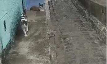 Imagem 2: Casa em terreno 10x6