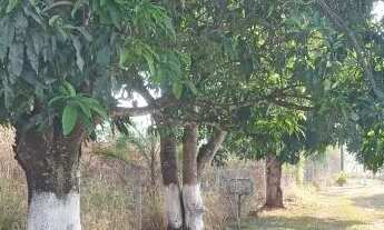 Imagem: Chácara ótima Localização