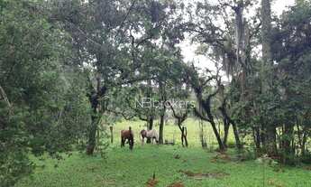 Imagem 7: Chácara à venda, 43700 m² por R$ 990.000,00 - Estação - Araucária/PR