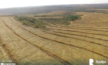 Imagem 5: FAZENDA MONTE BELO LUIZLÂNDIA DO OESTE - MG