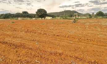 Imagem 5: Chácara no Núcleo Rural Santos Dumont Planaltina-DF 7.5 hectares