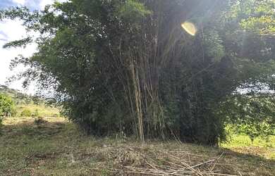 Imagem 5: VENDO CHÁCARA EM MOEDA - 2.300m²