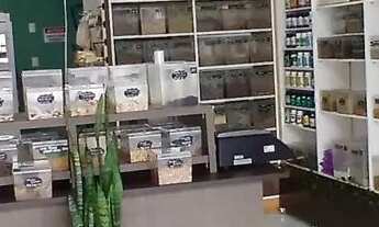 Imagem 4: Loja de Produtos Naturais com tudo dentro