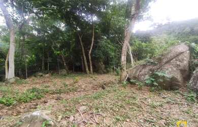 Imagem 5: Terreno Comercial em Ratones