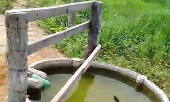 Imagem 7: Excelente fazenda dupla aptidão com 969 hectares à venda em Arinos - MG