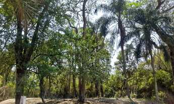 Imagem 5: Chácara 1200 metros