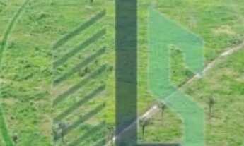 Imagem 2: Área de 482 hectares