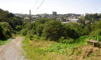 Imagem: Terreno no bairro Panazzolo
