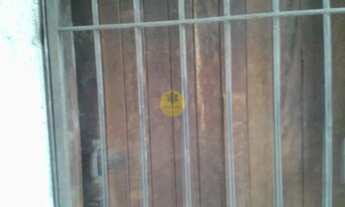 Imagem 5: Terreno 300 metros com 10 de frente